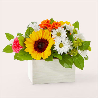 Sun-drenched Blooms Box Bouquet –  Designs By Lakeland Flowers, Plant City FL