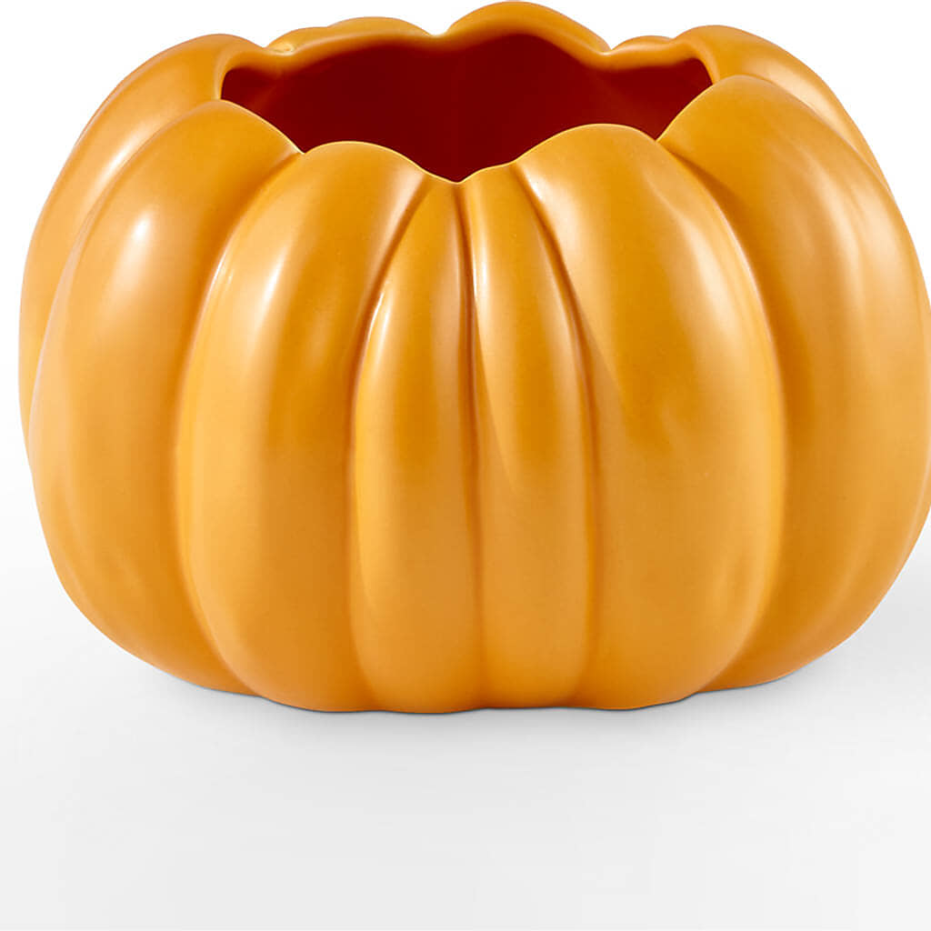 Golden Gourd Pumpkin Bouquet –  Designs By Lakeland Flowers, Plant City FL