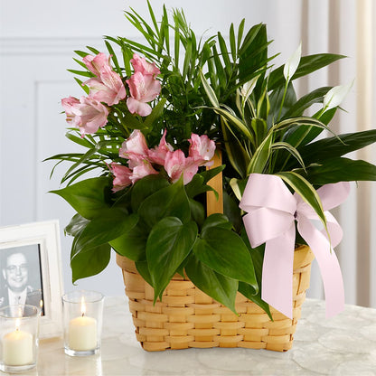 Living Spirit Dishgarden –  Designs By Lakeland Flowers, Plant City FL