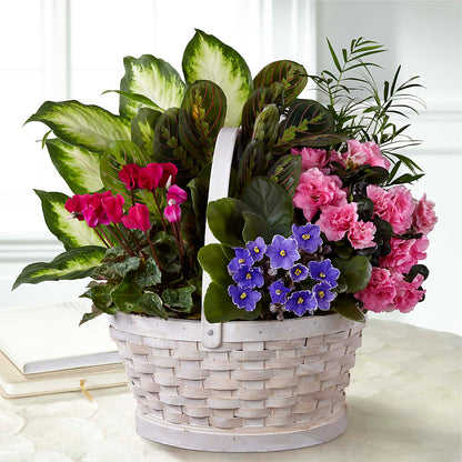 Peaceful Garden Planter –  Designs By Lakeland Flowers, Plant City FL