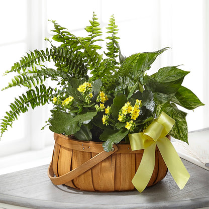 Always Dear Dishgarden –  Designs By Lakeland Flowers, Plant City FL