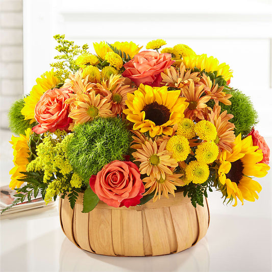 Harvest Sunflower Basket –  Designs By Lakeland Flowers, Plant City FL