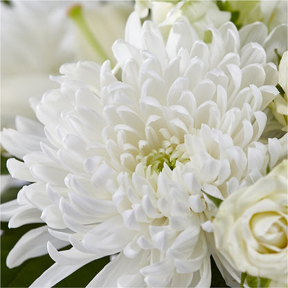 Classic Ivory – A Florist Original –  Designs By Lakeland Flowers, Plant City FL