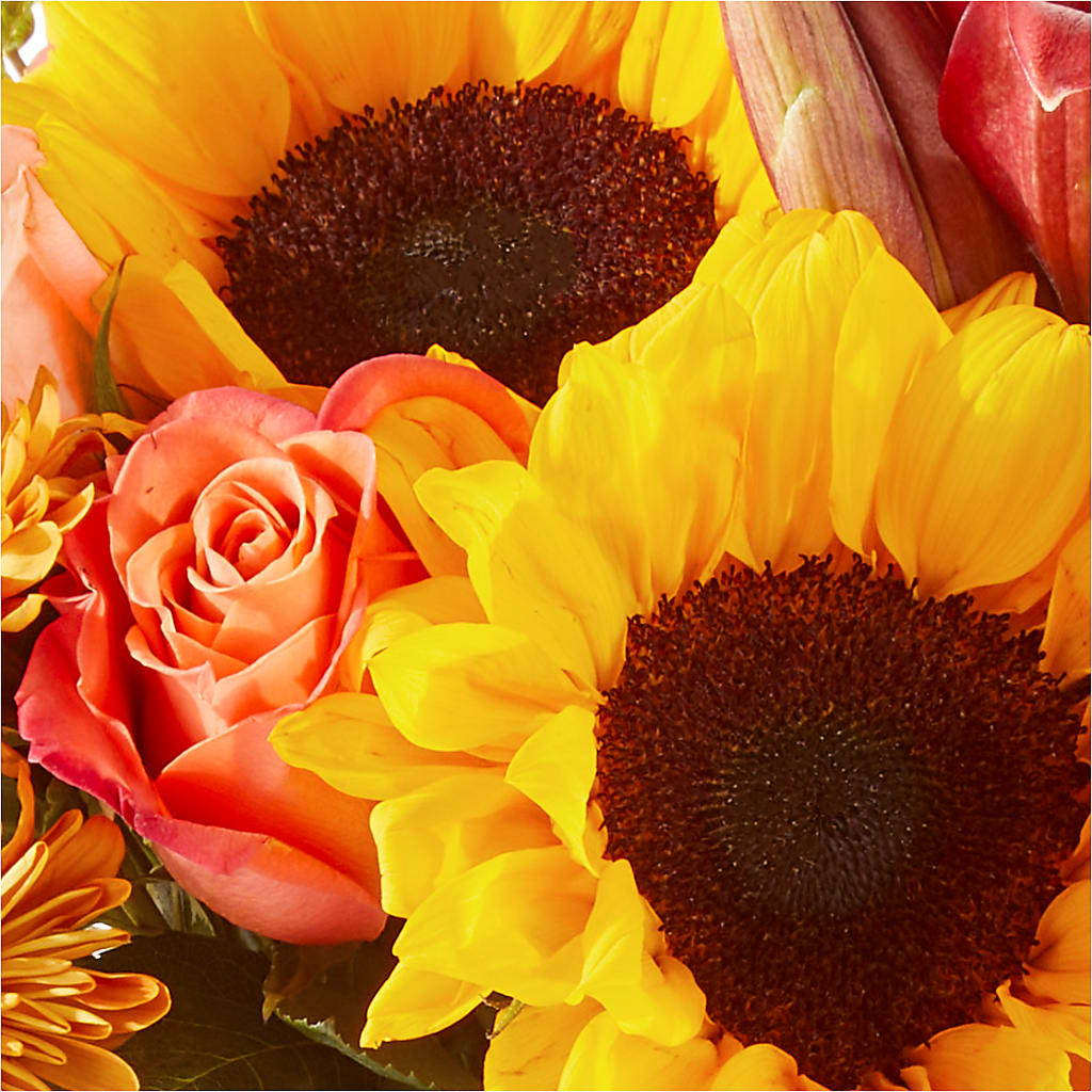 Acorn Lane Bouquet –  Designs By Lakeland Flowers, Plant City FL