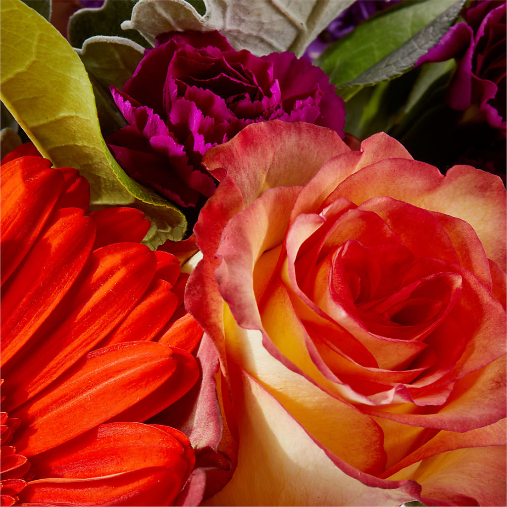 Sangria Bouquet –  Designs By Lakeland Flowers, Plant City FL