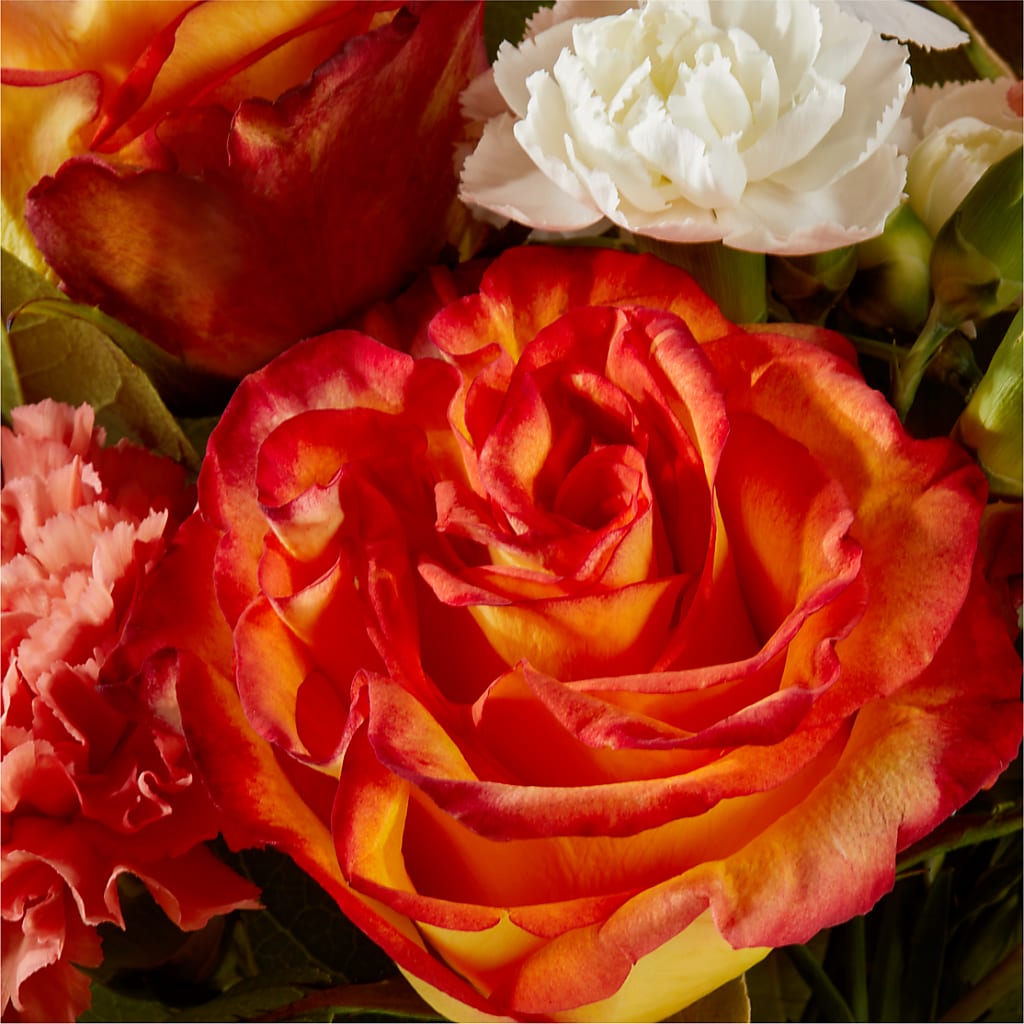 Apricot Glow Bouquet –  Designs By Lakeland Flowers, Plant City FL