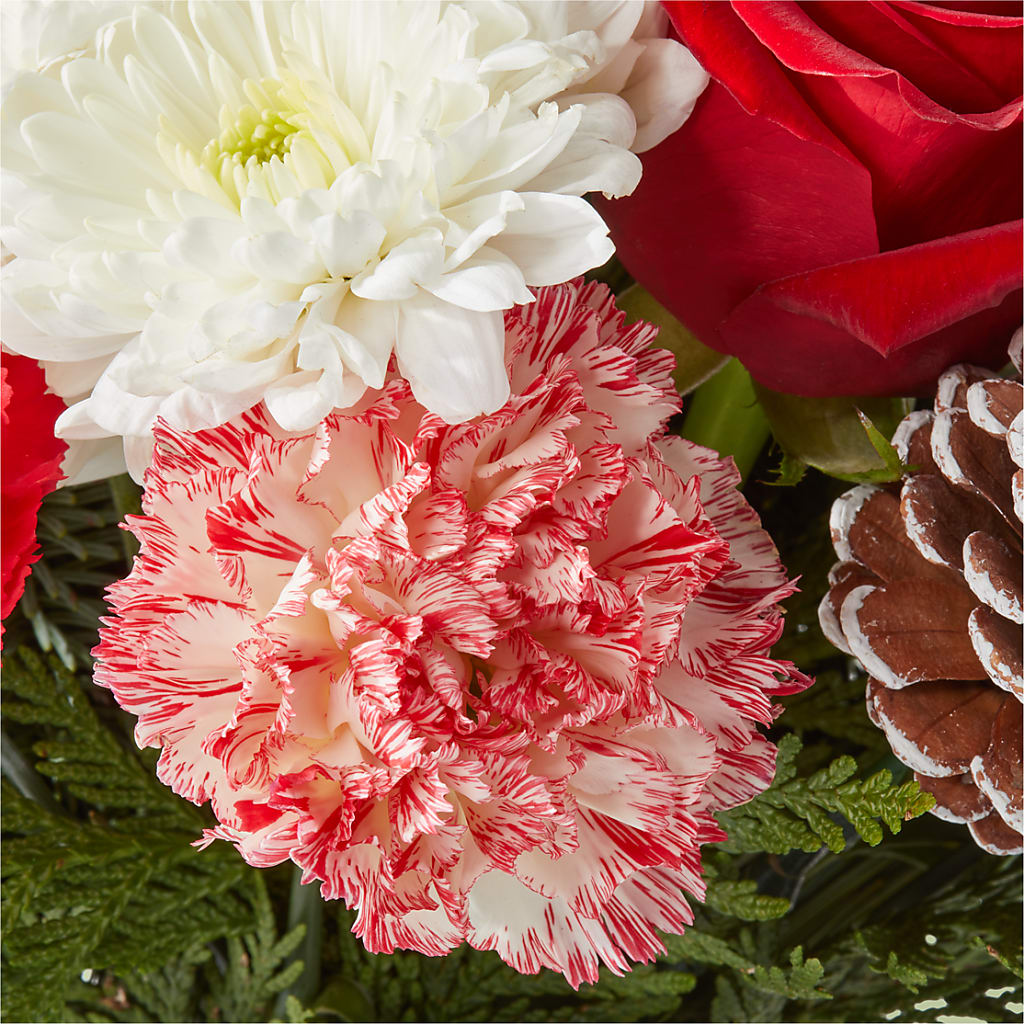 Candy Cane Lane Bouquet –  Designs By Lakeland Flowers, Plant City FL