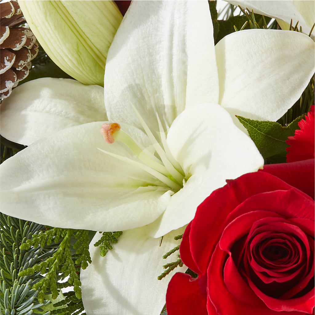 Oh So Jolly Bouquet –  Designs By Lakeland Flowers, Plant City FL