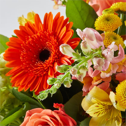 Autumn Sunshine Bouquet –  Designs By Lakeland Flowers, Plant City FL