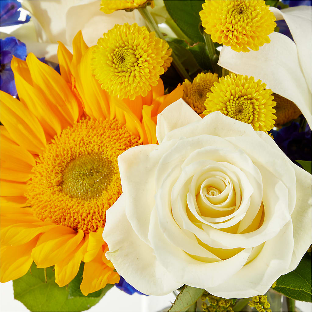 Stargazing Bouquet –  Designs By Lakeland Flowers, Plant City FL