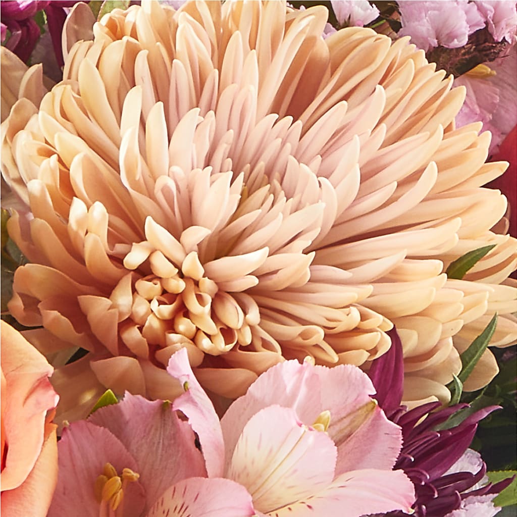 Berry Cobbler Bouquet –  Designs By Lakeland Flowers, Plant City FL