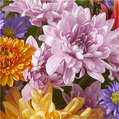 Countryside Bouquet –  Designs By Lakeland Flowers, Plant City FL