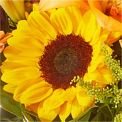 Seasons Change Bouquet –  Designs By Lakeland Flowers, Plant City FL