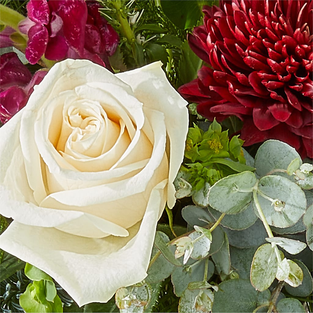Cranberry Fizz Bouquet –  Designs By Lakeland Flowers, Plant City FL