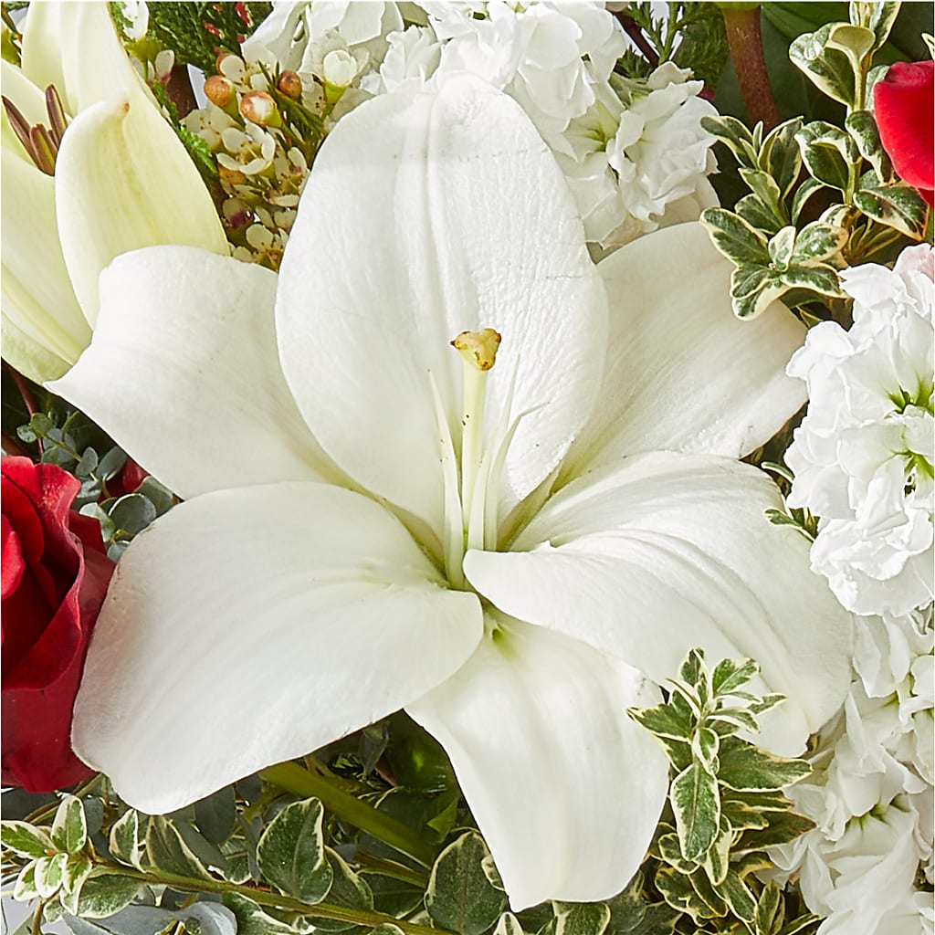 Twinkle Lights Bouquet –  Designs By Lakeland Flowers, Plant City FL