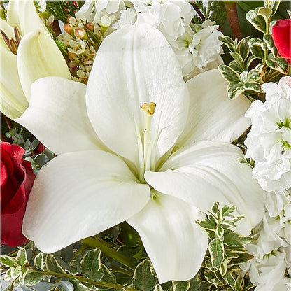 Twinkle Lights Bouquet –  Designs By Lakeland Flowers, Plant City FL