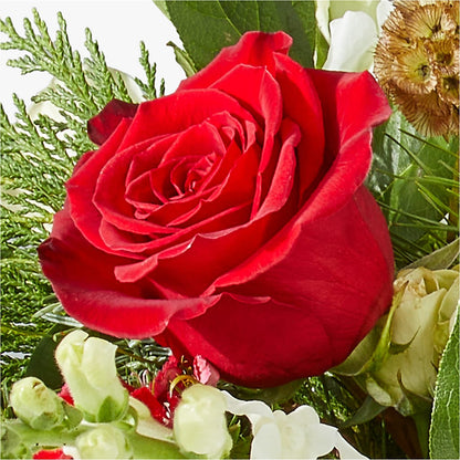 Deck the Halls Bouquet –  Designs By Lakeland Flowers, Plant City FL