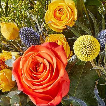 Disco Bouquet –  Designs By Lakeland Flowers, Plant City FL