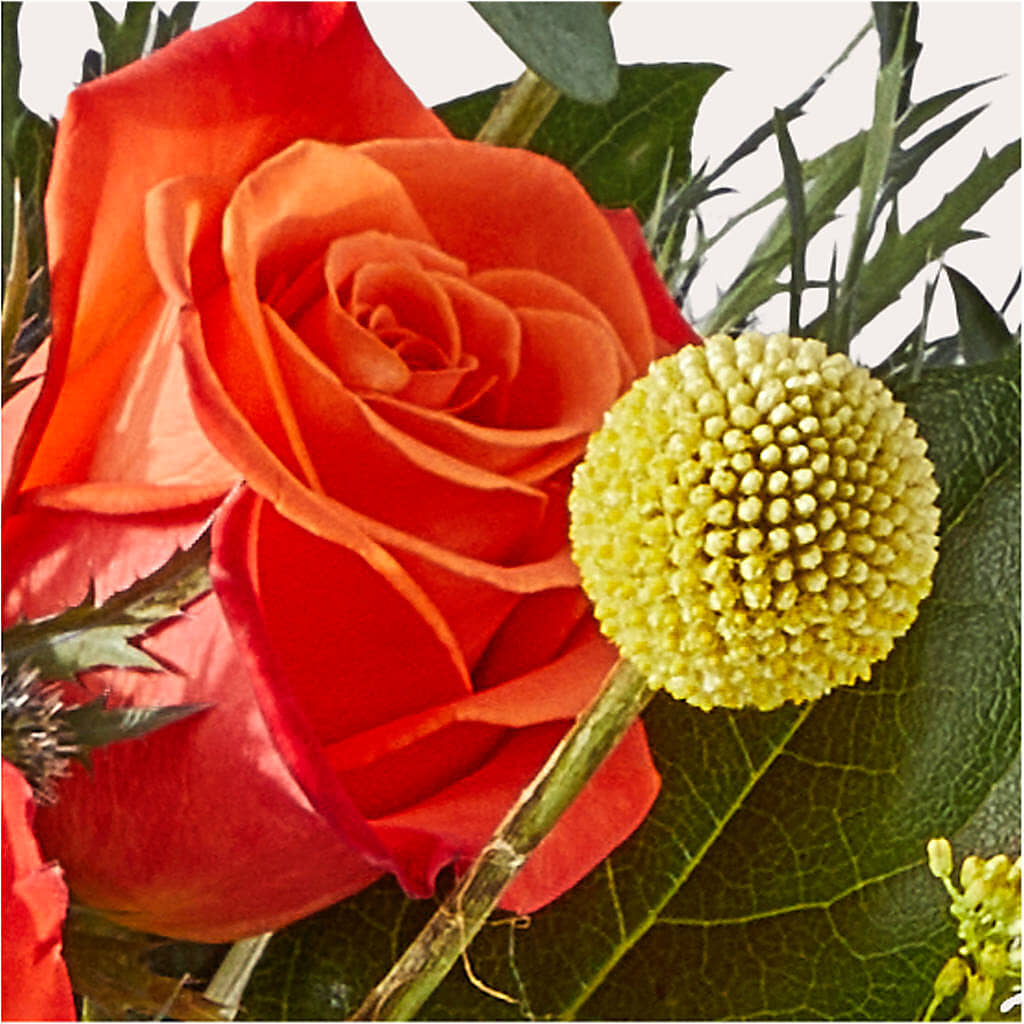 Disco Bouquet –  Designs By Lakeland Flowers, Plant City FL