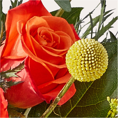 Disco Bouquet –  Designs By Lakeland Flowers, Plant City FL