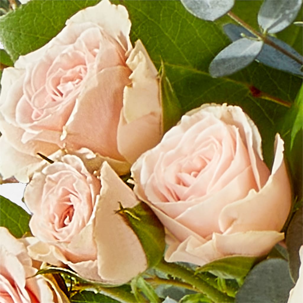 Inspired Bouquet –  Designs By Lakeland Flowers, Plant City FL