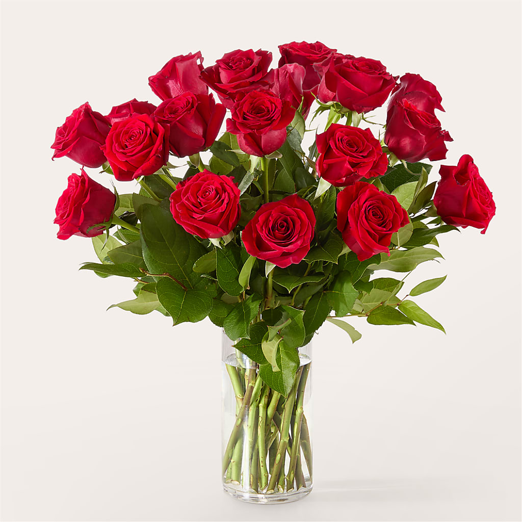 The One Red Rose Bouquet –  Designs By Lakeland Flowers, Plant City FL