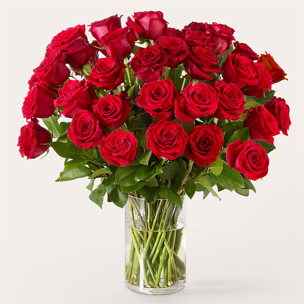 The One Red Rose Bouquet –  Designs By Lakeland Flowers, Plant City FL