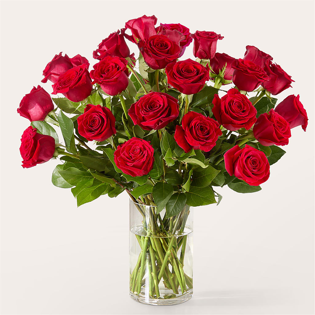 The One Red Rose Bouquet –  Designs By Lakeland Flowers, Plant City FL