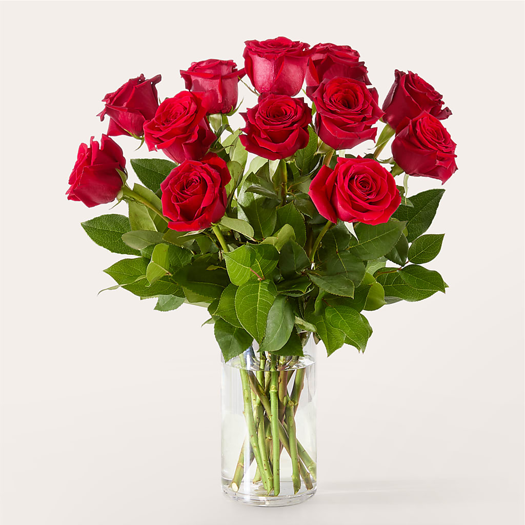 The One Red Rose Bouquet –  Designs By Lakeland Flowers, Plant City FL