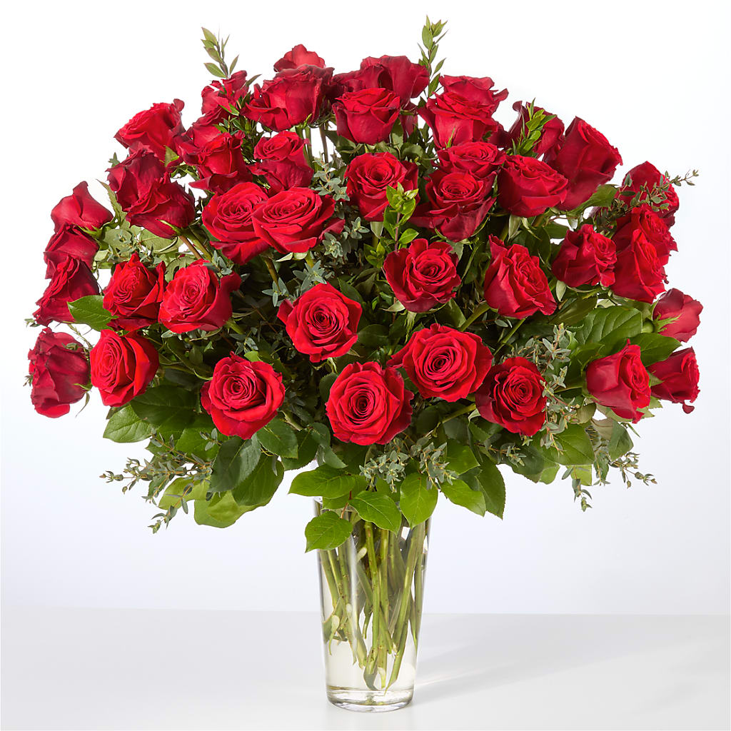Forever Yours Fifty Stem Red Rose Bouquet –  Designs By Lakeland Flowers, Plant City FL