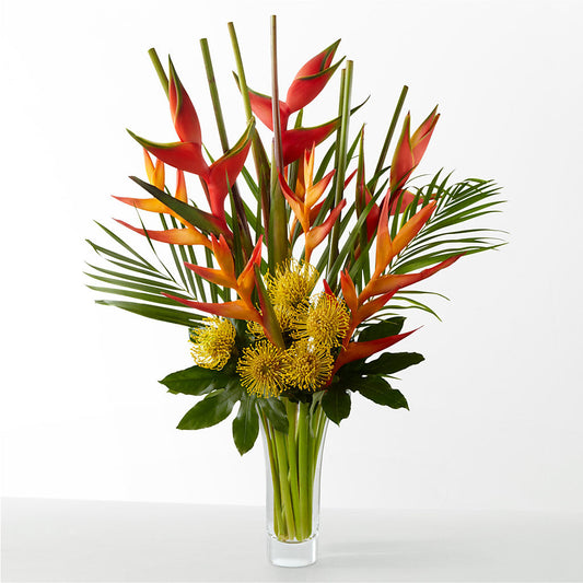The Drama –  Designs By Lakeland Flowers, Plant City FL