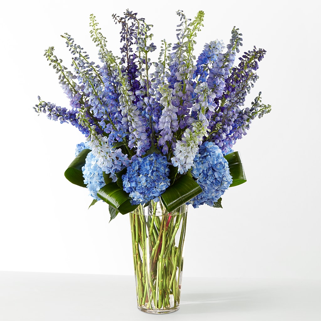 The Editorial –  Designs By Lakeland Flowers, Plant City FL
