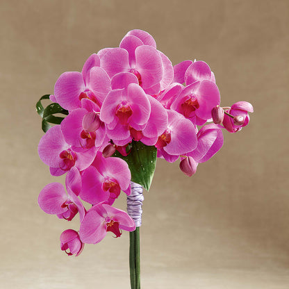 Glorious Bouquet –  Designs By Lakeland Flowers, Plant City FL