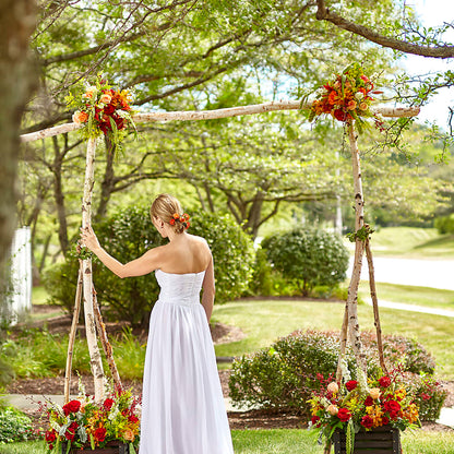 Arbor of Love Archway –  Designs By Lakeland Flowers, Plant City FL