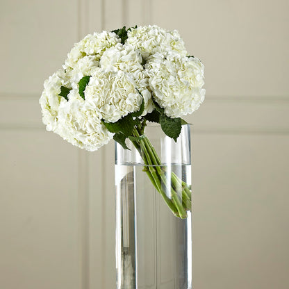 White Hydrangea Hand-Tied Bouquet –  Designs By Lakeland Flowers, Plant City FL