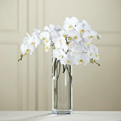 White Phalaenopsis Bouquet –  Designs By Lakeland Flowers, Plant City FL
