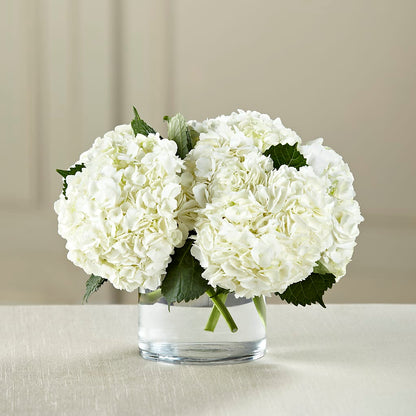 White Hydrangea Bouquet –  Designs By Lakeland Flowers, Plant City FL