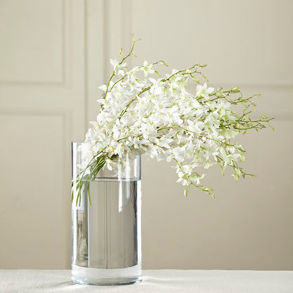 White Dendrobium Bouquet –  Designs By Lakeland Flowers, Plant City FL